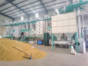 T D Complete Rice Mill Plant Rice Processing Plant For Sale